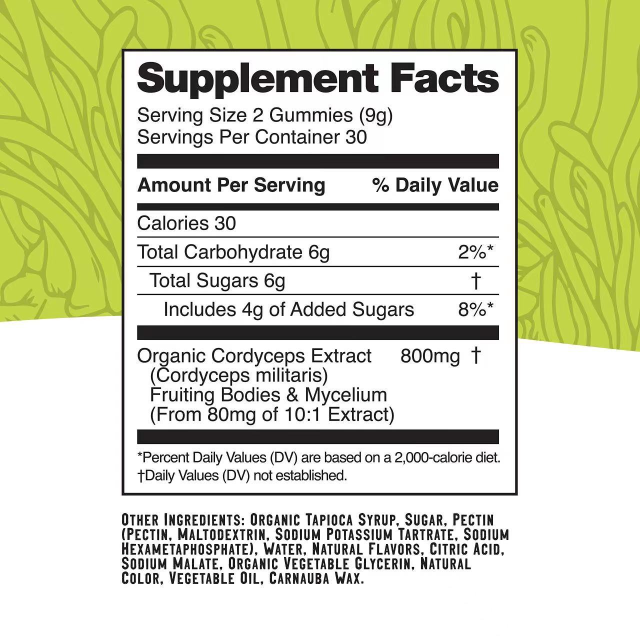 Functional Mushroom Extract Gummies